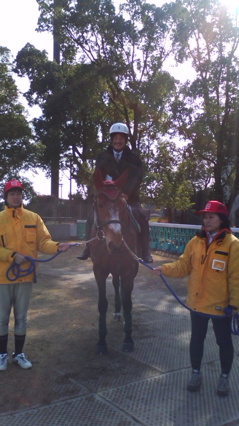 ファイル 28-2.jpg